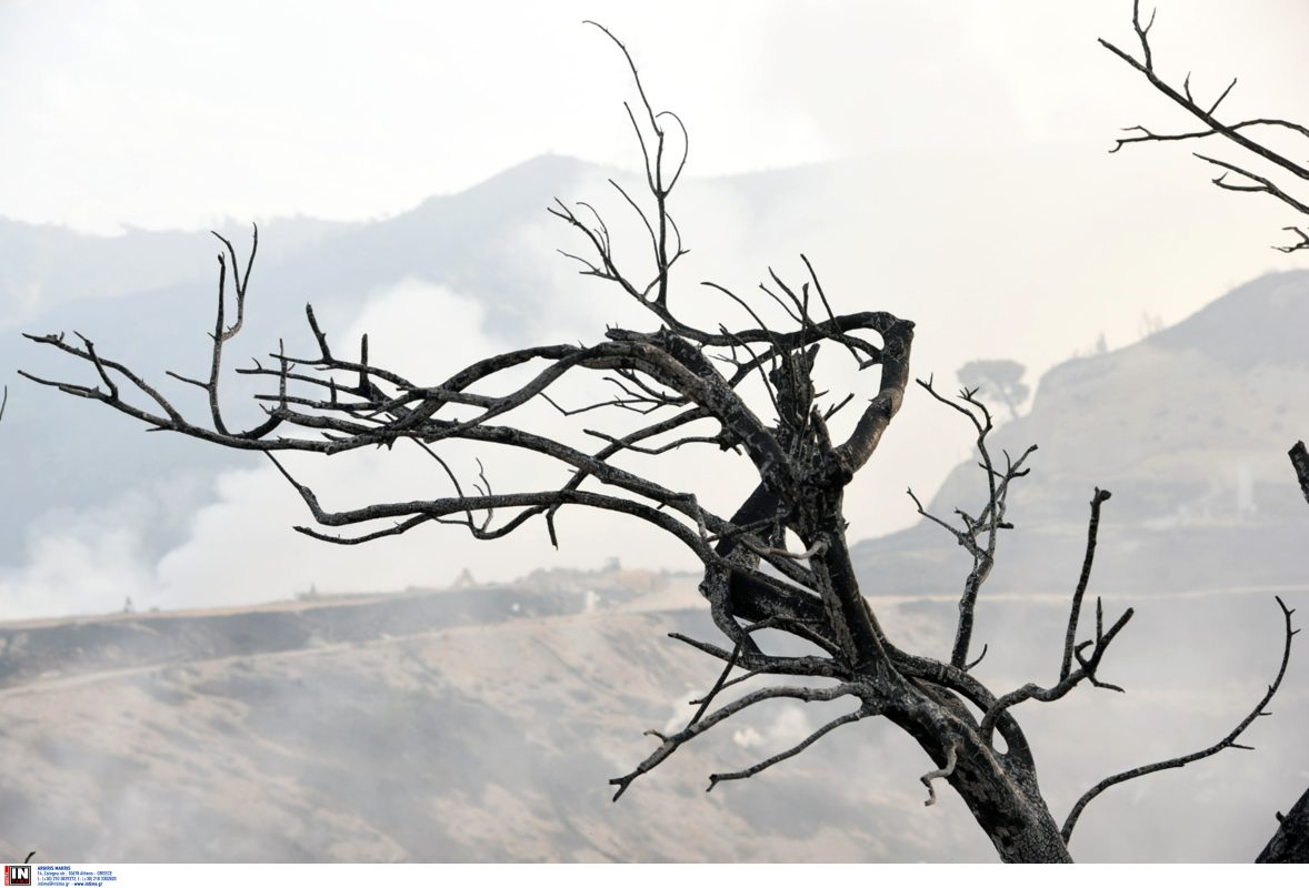 Oι συνέπειες των πυρκαγιών: Εφιαλτικά σενάρια για την επόμενη ημέρα