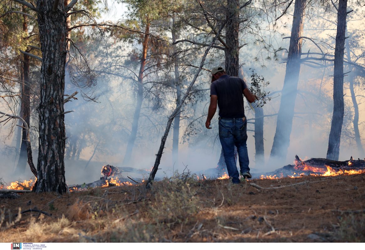 Το αποτύπωμα των φετινών δασικών πυρκαγιών:  Επιδεινώθηκε η ποιότητα του αέρα – Αυξήθηκαν οι ρύποι