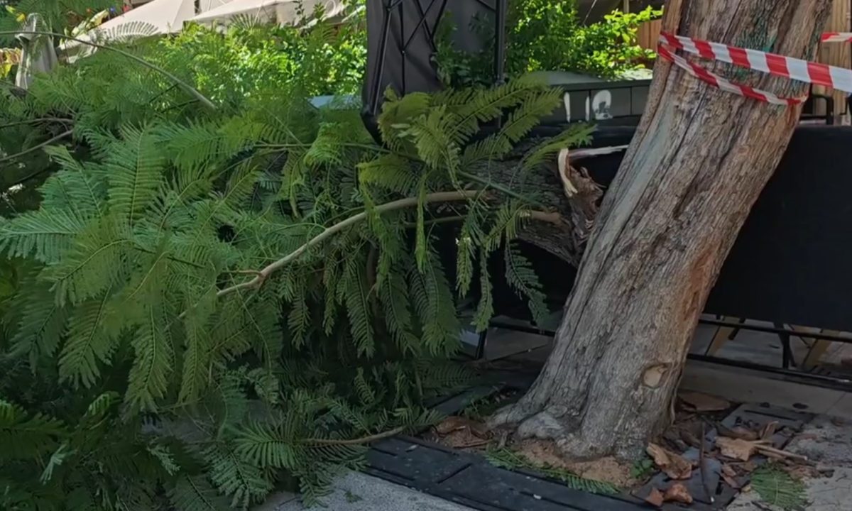 Αθήνα: Πτώση δέντρου στην πλατεία Αγίας Ειρήνης – Δύο τραυματίες – Είκονες & βίντεο