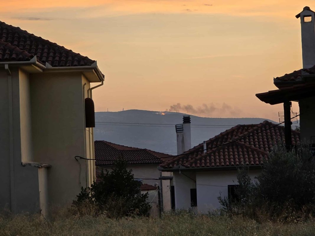 Φωτιά σε δύσβατη περιοχή έξω από τον Βόλο