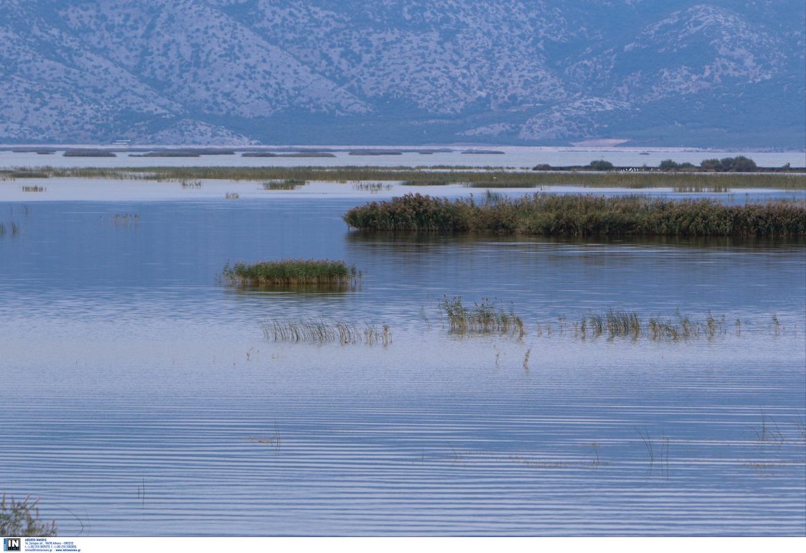 ΟΠΕΚΕΠΕ: Σε στέλεχος του ΠΑΣΟΚ στην Κρήτη ανήκει ΚΥΔ που δήλωνε δημόσιες εκτάσεις στη λίμνη Κάρλα – Τι απαντά
