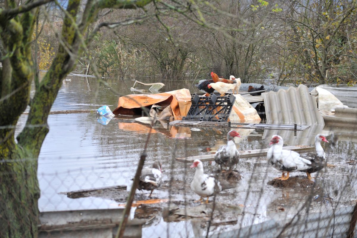 Ιωάννινα: Σε επιφυλακή η Ήπειρος για την κακοκαιρία ADEL-Συστάσεις προς τους πολίτες