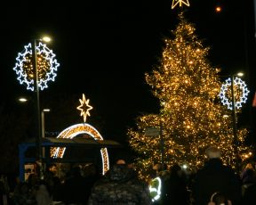 Θεσσαλονίκη: «Φωτίστηκε» το χριστουγεννιάτικο δέντρο του δήμου Κορδελιού - Ευόσμου
