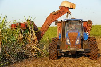 Καλλιεργώντας το Αύριο: Η Bayer και το νέο μοντέλο αναγεννητικής γεωργίας στην Ελλάδα