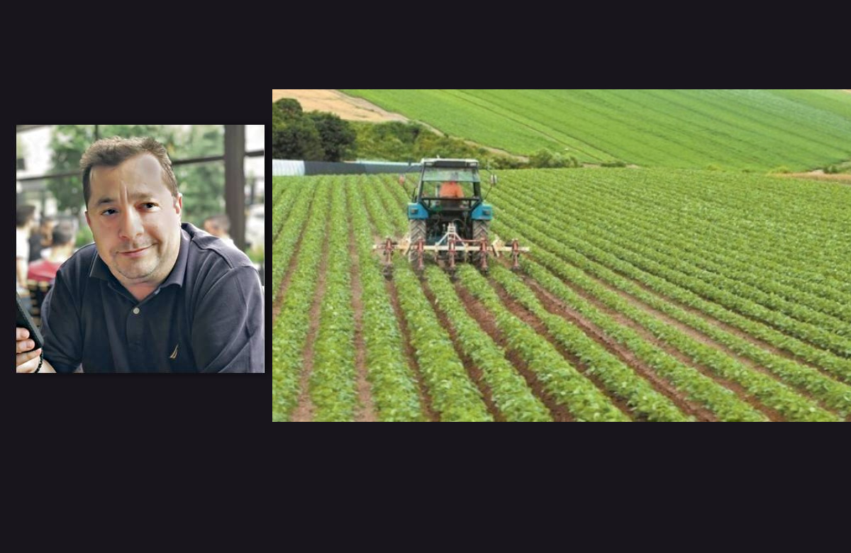 «Αντανάκλαση» – Αρθρο του Δημήτρη Μιχαλέλη