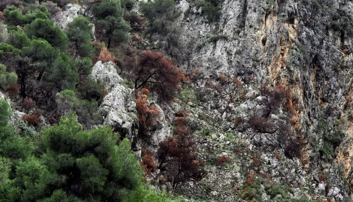 Σίκινος: Εντοπίστηκε ανθρώπινος σκελετός μίας εκ των δύο Γαλλίδων που αγνοούνταν από το καλοκαίρι του 2024