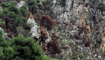 Σίκινος: Εντοπίστηκε ανθρώπινος σκελετός μίας εκ των δύο Γαλλίδων που αγνοούνταν από το καλοκαίρι του 2024