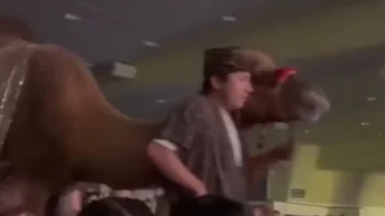 ΒΙΝΤΕΟ: Καμήλα κλώτσησε γυναίκα θεατή σε χριστουγεννιάτικη παράσταση εκκλησίας στο Χιούστον