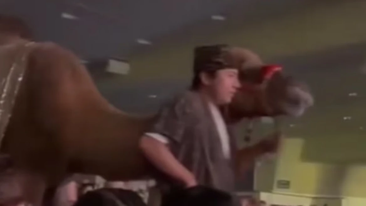 ΒΙΝΤΕΟ: Καμήλα κλώτσησε γυναίκα θεατή σε χριστουγεννιάτικη παράσταση εκκλησίας στο Χιούστον